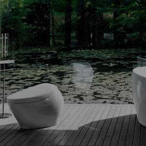 Sanitaryware & Bath Fittings