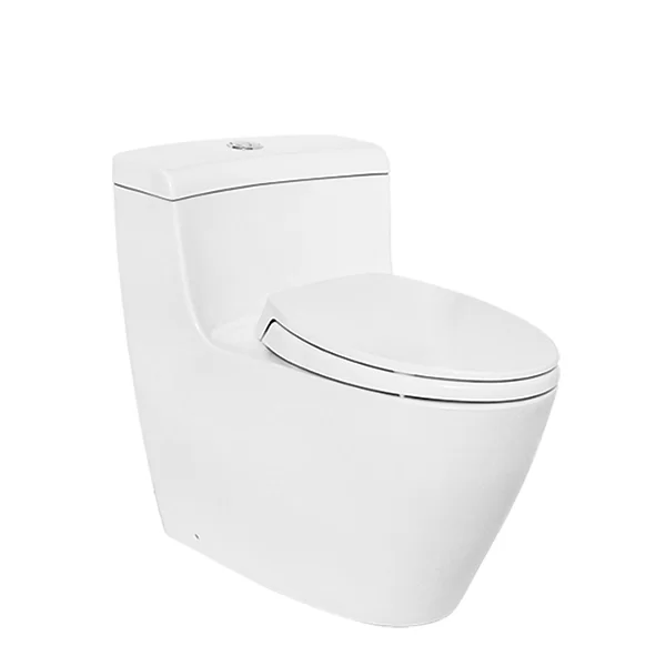 TOTO C636DE XW one piece toilet with rimless elongated bowl and tornado flush system